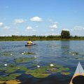 Поляна водных лилий в дельте Покши.