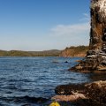 Сложно комментировать ежевечернюю прогулку —  «остросюжетный репортаж из спортзала». Пока что единственным результатом всех этих физических упражнений явилась потребность в более мощном весле. Теперешнее стало мне слишком легким.