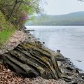 Воскресный морской каякинг