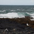 Баренцево море, на морских каяках вокруг полуостровов Средний и Рыбачий. Август 2013.