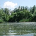 Маленький заливчик. 