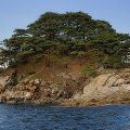 Впрочем, утыканные корявыми соснами берега являют собой достаточно живописную картину, независимо от плавсредства, на котором их посещаешь.