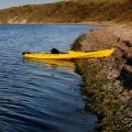 Неосторожно высадился на берег, покрытый толстым слоем водорослей, тушка по самое нехочу провалилась в мягкий зеленый ковер. Не в меру разросшейся морской капусте не хватает естественных врагов —  морских козлов. На этой, с позволения сказать, экологической ноте, я и завершу сие краткое повествование.