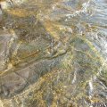 Лахденпохья. Или прогулки на морском каяке по Карельским  шхерам