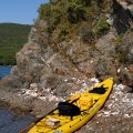Затрудняюсь сказать, кто тут в таком количестве любит поедать устриц. Поскольку с камней, при моем осторожном приближении, возмущенно вывернув шеи, поднялась лишь пара жирных бакланов.