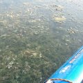 Вот по такому супу каяк идет потихонечку. 