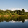 Но с первыми
лучами солнца вместе с туманом исчезли и рыбаки, чудеса. И мы вновь остались
наедине с природой.   