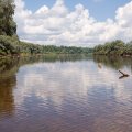 В целом всем
понравилось. Это была наша первая экспедиция. Она длилась 7 дней и определенные
выводы в плане подготовки будут учтены в последующих странствиях. Прошли мы
примерно 40 км
в верх по течению и столько же обратно. Встретилось нам 3 переката, на один из
них я смог подняться лишь волоком, сноровки не хватило, все время на мель
садился. Зато по перекату покатались под радостный визг малышей и замирание
маминого сердца. Несколько раз приходилось на бис волоком втаскивать каноэ и
съезжать по водной горке. 