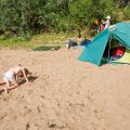 Измученные
зарядкой 
