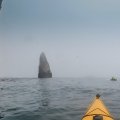 Выяснить статус острова Стенина нам не удалось. На картах он отмечен как заповедный, но отдыхающие там водномоторники сказали что ни разу не видели охранные лодки, и не слышали о случаях чтоб там гоняли.