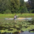 Куда вас занесло, сударыня! Выгребайте на чистую воду!