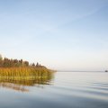 А пока я наслаждаюсь тишиной и неспешно иду вдоль берега.  
 
