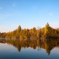 Зеркало воды, чистое небо, запах осеннего леса.  
 
