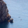 Морской каякинг в Крыму: Балаклава-Фиолент-Казачка