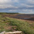 Белое море на морских каяках, Онежский залив по маршруту Онега – Беломорск, 264 км, 21 июня - 6 июля 2014