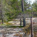 Белое море на морских каяках, Онежский залив по маршруту Онега – Беломорск, 264 км, 21 июня - 6 июля 2014