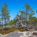 Белое море на морских каяках, Онежский залив по маршруту Онега – Беломорск, 264 км, 21 июня - 6 июля 2014